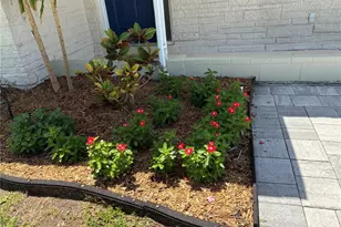 52 Cypress Dr, Palm Harbor, FL 34684 - Photo 2