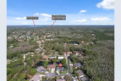 10 Windrush Court, Oldsmar, FL 34677 - Photo 50