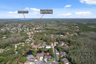 10 Windrush Ct, Oldsmar, FL 34677 - Photo 50