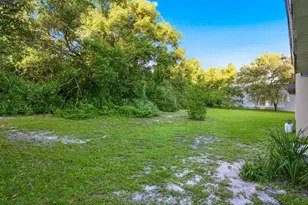 10 Birdie Ln, Palm Harbor, FL 34683 - Photo 30