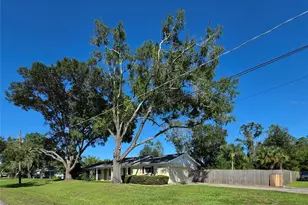 17001 Melba Ln, Lutz, FL 33549 - Photo 2