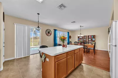 18801 Sunterra Drive, Land O Lakes, FL 34638 - Photo 12