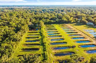 5010 Ruth Morris Rd, Wimauma, FL 33598 - Photo 1