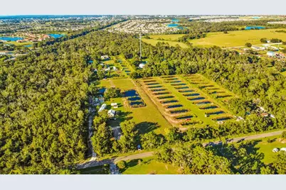 5010 Ruth Morris Road, Wimauma, FL 33598 - Photo 12
