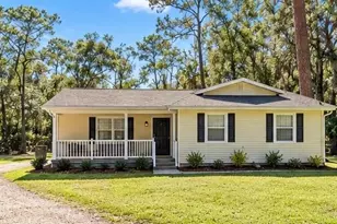 4312 Lithia Pinecrest Rd, Valrico, FL 33596 - Photo 1