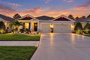 13235 Baby Belle Dr, Riverview, FL 33579 - Photo 1
