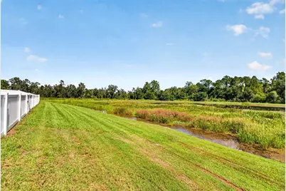 35683 Buttonweed, Zephyrhills, FL 33541 - Photo 48