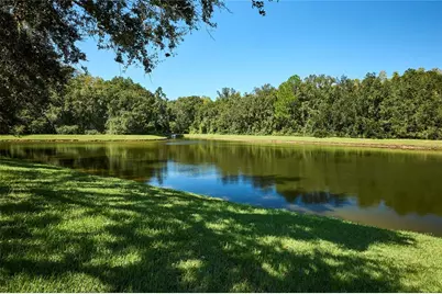 18016 Royal Forest Drive, Tampa, FL 33647 - Photo 64