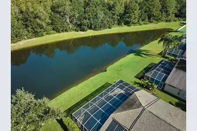 18016 Royal Forest Drive, Tampa, FL 33647 - Photo 70