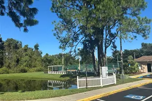 6433 Tina Dr, New Port Richey, FL 34653 - Photo 70