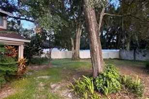 14714 Oak Vine Dr, Lutz, FL 33559 - Photo 44