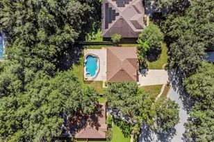 1406 McCrea Dr, Lutz, FL 33549 - Photo 94