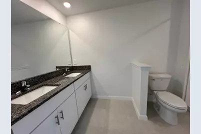17765 Cotton Nest Court, Land O Lakes, FL 34638 - Photo 8