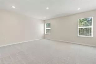 3221 Living Coral Dr, Odessa, FL 33556 - Photo 22