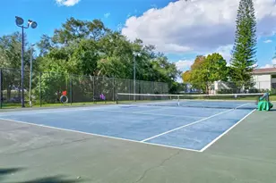 4515 La Capri Ct, Tampa, FL 33611 - Photo 32