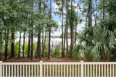 11424 Crowned Sparrow Lane, Tampa, FL 33626 - Photo 42