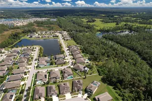 8144 Sequester Loop, Land O Lakes, FL 34637 - Photo 56