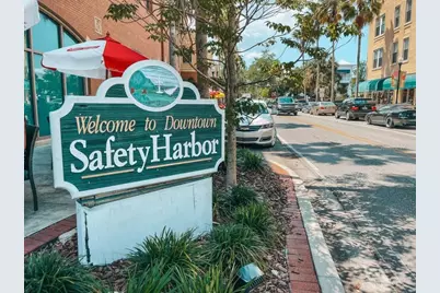 1110 Thayer Street, Safety Harbor, FL 34695 - Photo 34