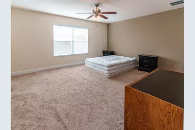 20215 Natures Spirit Drive, Tampa, FL 33647 - Photo 30
