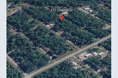 112 Chipola Drive, Georgetown, FL 32139 - Photo 6