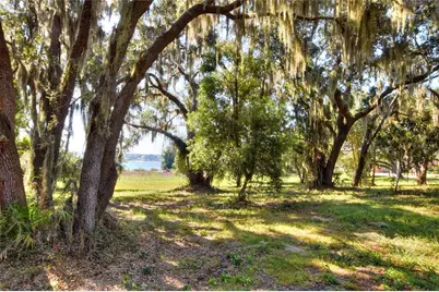 Mangham Road, Babson Park, FL 33827 - Photo 10