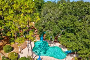 36750 US Hwy 19 N, Palm Harbor, FL 34683 - Photo 56