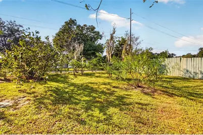 302 Park Ridge Avenue, Temple Terrace, FL 33617 - Photo 56