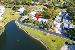 3109 Mission Grove Dr, Palm Harbor, FL 34684 - Photo 36