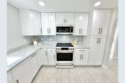 336 Shaddock Street, Tarpon Springs, FL 34689 - Photo 16