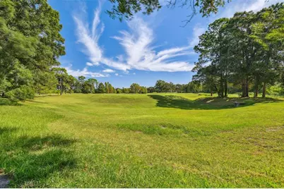 2991 Heather Trail, Clearwater, FL 33761 - Photo 76