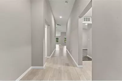 12648 Tannencrest Drive, Riverview, FL 33579 - Photo 4