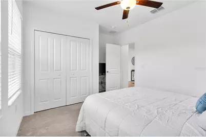 5009 Fiddle Fig Avenue, Wimauma, FL 33598 - Photo 8