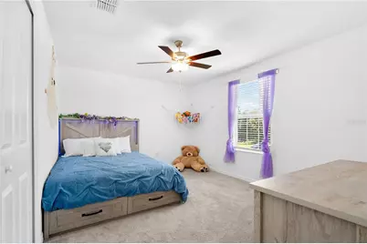 5009 Fiddle Fig Avenue, Wimauma, FL 33598 - Photo 34