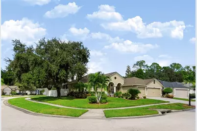 12541 Leatherleaf Drive, Tampa, FL 33626 - Photo 6