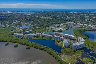 6450 Shoreline Dr, Seminole, FL 33708 - Photo 28