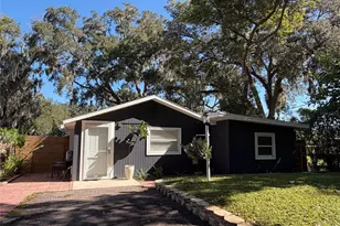 10822 Palmetto St, Riverview, FL 33569 - Photo 1
