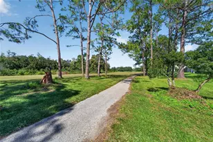 16216 Rambling Vine Dr W, Tampa, FL 33624 - Photo 36