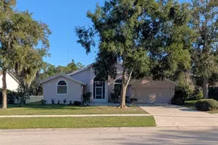 10120 Sedgebrook Dr, Riverview, FL 33569 - Photo 1