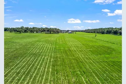 Cr 575, Bushnell, FL 33513 - Photo 6