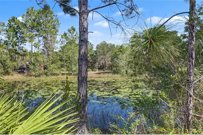 18182 Rapidan Road, Weeki Wachee, FL 34614 - Photo 4