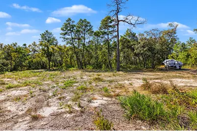 18182 Rapidan Road, Weeki Wachee, FL 34614 - Photo 6