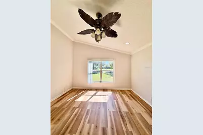 23824 Plantation Palms Boulevard, Land O Lakes, FL 34639 - Photo 20