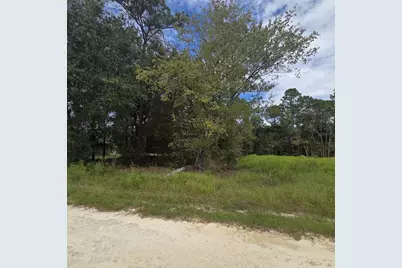 Lot 14 SW 28Tth Lane, Ocala, FL 34481 - Photo 2