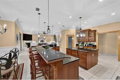 1009 Emerald Creek Drive, Valrico, FL 33596 - Photo 8