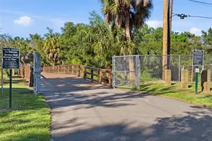 6709 S Dauphin Ave, Tampa, FL 33611 - Photo 34