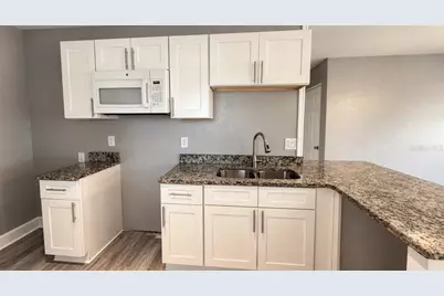 3047 62nd Avenue N, Saint Petersburg, FL 33702 - Photo 4
