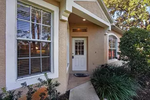 19122 Doves Landing Dr, Tampa, FL 33647 - Photo 4