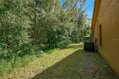 537 Centerwood Drive, Tarpon Springs, FL 34688 - Photo 38