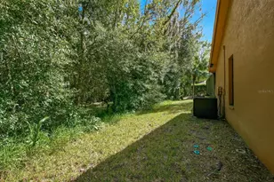 537 Centerwood Dr, Tarpon Springs, FL 34688 - Photo 38