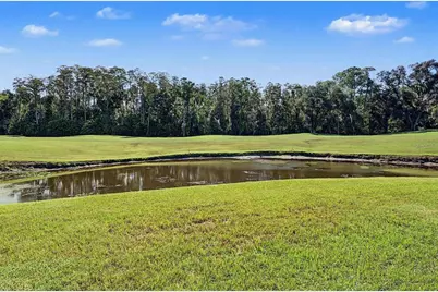 5124 Pinnacle Drive, Oldsmar, FL 34677 - Photo 40